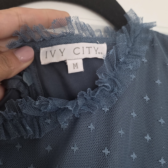 Ivy City Co Short Whimsical Dress Blue Size M - Picture 2 of 5